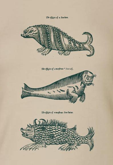 mittelalterliche Zeichnungen eines "See-Ebers", "See-Kalbs" und "See-Schweins". Sehr absurd-witzig.