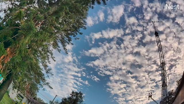 Low-angle view of an evening sky dotted with scattered, puffy clouds, framed on the left by the top of an evergreen tree and on the right by a tall metal antenna tower.