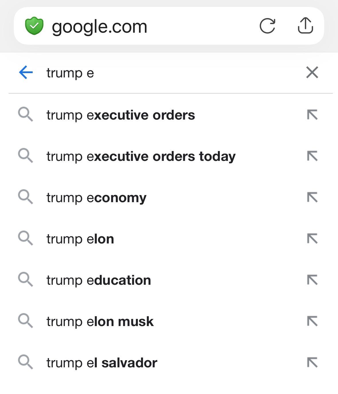 A Google search for "Trump E" shows no results mentioning Epstein