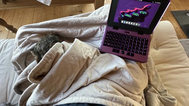 My lap, sitting on the couch with a blanket over it. In the blanket you can see the head of a tiny dog. On the blanket a purple Pocket Reform.