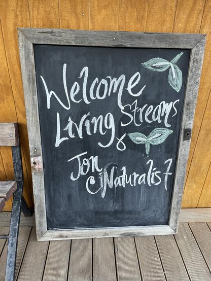 A photo of a chalk board on the floor at the entrance to the Little River Inn. In elegant hand-written lettering it says “Welcome Living Springs & Jon iNaturalist”