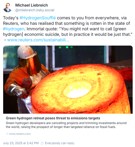 Michael Liebreich twwe on Bluesky:

Today's #HydrogenSoufflé comes to you from everywhere, via Reuters, who has realised that something is rotten in the state of #hydrogen. Immortal quote: "You might not want to call [green hydrogen] economic suicide, but in practice it would be just that."