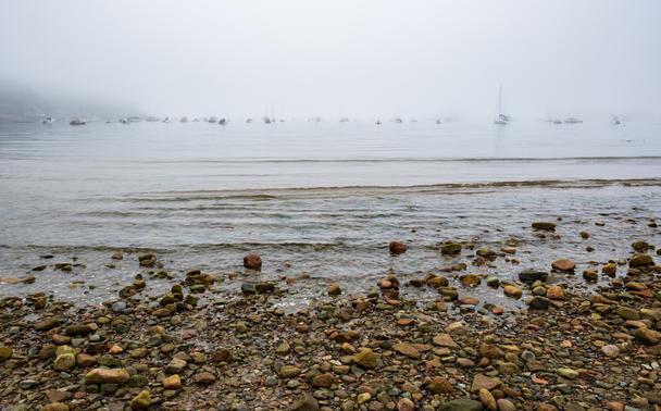 Looking out from a rocky beach in Seal Harbor, moored boat disappear into the fog.
© Tom Goetz. All rights reserved. Training an AI on this image is expressly forbidden.