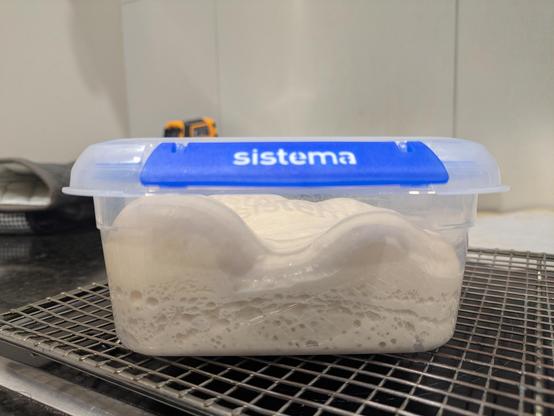 A clear plastic container with a lid holding some pizza dough. The dough is filling the container about two thirds up. There are many small bubbles visible against the side of the container. There are mounds on the top of the dough, probably caused by larger bubbles.