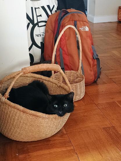 a very floofy black cat peers out over the room of of a straw basket. a smaller basket and a reddish brown backpack are in the background.