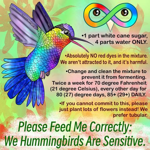 A graphic featuring a speaking fiery-throated hummingbird named Macaron. Background is green with red floral, white sugar behind green text that says, "Please Feed Me Correctly: We Hummingbirds Are Sensitive". 
There is dark text with alternate pink and yellow highlights for visibility. The text says:
•1 part white cane sugar, 4 parts water ONLY.

•Absolutely NO red dyes in the mixture. We aren't attracted to it, and it's harmful. 

•Change and clean the mixture to prevent it from fermenting. Twice a week for 70 degree Fahrenheit (21 degree Celsius), every other day for 80 (27) degree days, 85+ (29+) DAILY. 

•If you cannot commit to this, please just plant lots of flowers instead! We prefer tubular. 

The upper right has a rainbow infinity sign logo with a black and brown eye in each of the two centers. Under the eyes in pastel brown text reads "Actually" and "Owltistic".