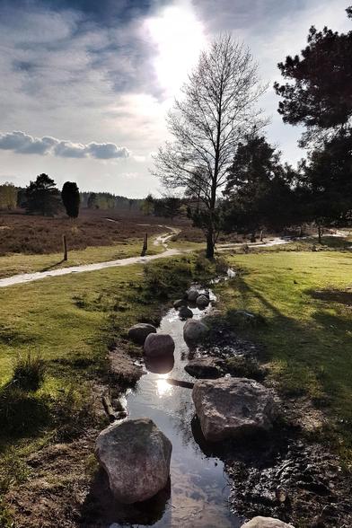 A sun-drenched landscape featuring a shallow stream winding through a grassy field with scattered rocks. The early evening sun creates a bright reflection on the water's surface. In the background, a dirt path meanders towards a horizon line dotted with trees and a cloudy sky.