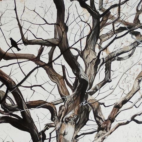 Painting of a bare tree in natural colours, looking up into the canopy