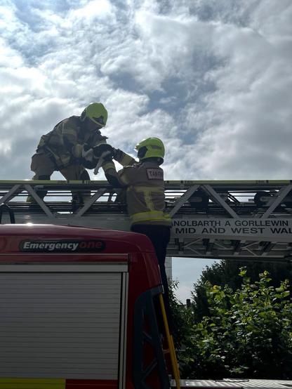 Firefighters from Morriston Fire Station used a specialist turntable ladder — and cat treats — to rescue a feline stranded on a three-storey rooftop in Brynmill, Swansea