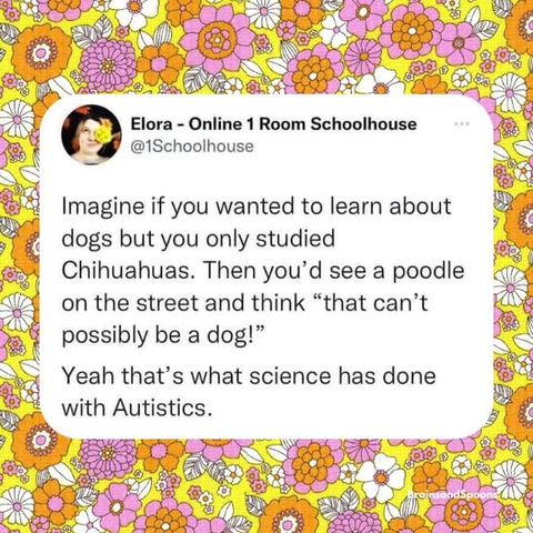Elora - Online 1 Room Schoolhouse
@ischoolhouse

Imagine if you wanted to learn about 
dogs but you only studied 
Chihuahuas. Then you'd see a poodle 
on the street and think “that can’t 
possibly be a dog!”

Yeah that’s what science has done 
with Autistics.