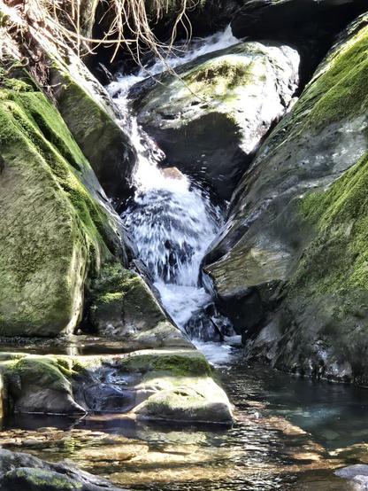 A small cascade coming down 3 or 4 steps through missy green rocks in sunlight