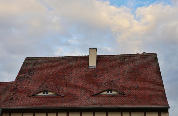 A unique red-tiled rooftop with two curved dormer windows resembling eyes. A light-coloured chimney stands prominently in the centre of the roof, with two birds perched on the ridge to the right. The tiles have varying shades of red and brown, suggesting age. The sky above is a mix of light blue and fluffy white clouds. The very top of a cream-coloured building with timber framing is visible at the bottom of the image.