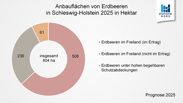 Grafik: Anbaufläche von Erdbeeren in Schleswig-Holstein 2025 in Hektar