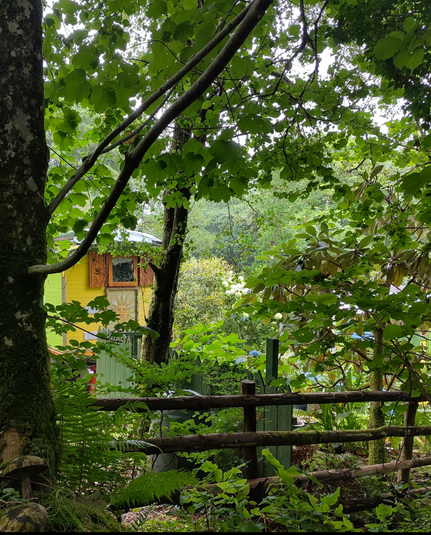 A woodland scene, with a shepherd's hut painted yellow and green centre-left frame mostly obscured by trees, it's window peering through leafy canopy. A post and tail fence is silhouetted in the fireground