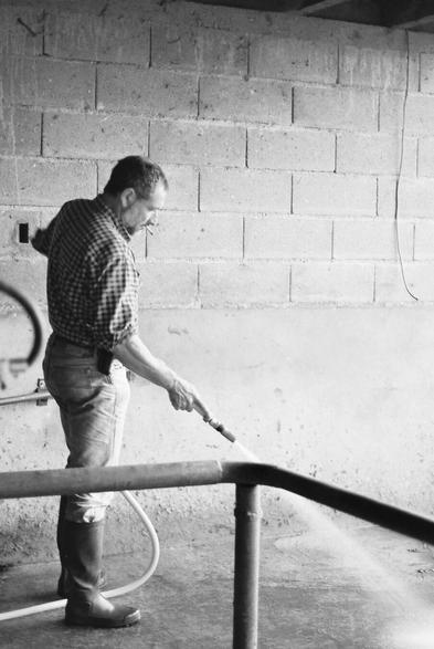 A farmer washes the floor with a hose after milking. (Version françæ) Æn paysæn passe læ jet après læ traite.