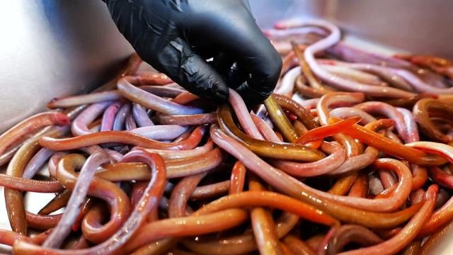 RED MUD WORMS Vietnamese Street Food