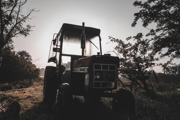 Brown toned shot of old international tractor in woodland