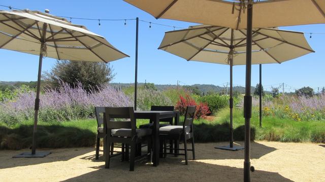 Photo taken on a sunny day, from beneath a large sun umbrella, of a picturesque and peaceful outdoor seating area adjacent to vineyards. Three large umbrellas provide shade. Straight ahead there is a dark brown wooden table with 4 cushioned chairs. Beyond that is a garden: a stretch of green with splashes of purple, red, and yellow flowers. Beyond the garden is the green of the vineyards. The sky is blue.