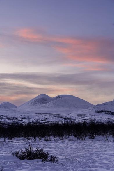 Snow-covered landscape in Abisko National Park during sunrise, with soft light illuminating the winter scenery. The view is part of the Njakajaure Nature Trail, a loop route accessible from STF Abisko.