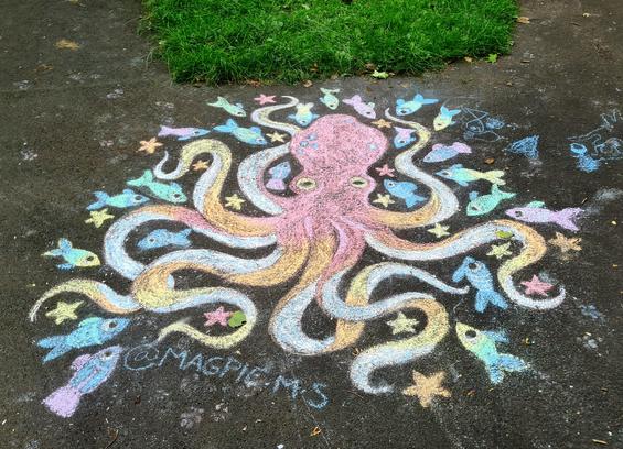 A chalk drawing of an octopus surrounded by brightly coloured fish on a path in a Glasgow park.