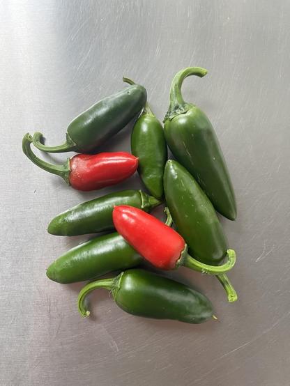 9 Jalapeño peppers in a little pile on a stainless steel countertop.