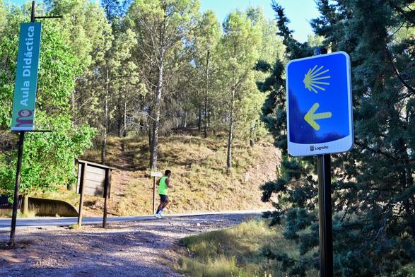 una persona corriendo por un parque. a la derecha se observa la señal con la concha amarilla del camino de Santiago justamente señalando el camino del corredor.