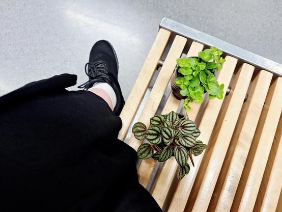 Die Kameraperspektive zeigt von oben eine auf einer Bank sitzende Person, welche ein schwarzes Kleid trägt,  man sieht das linke Bein knieabwärts, es ist locker überschlagen, der Fuß steckt in weißer Socke in schwarzem Sneaker. Neben ihr stehen zwei kleine Zimmerpflanzen.