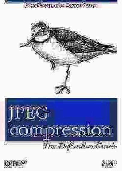 a blurry image of a bird with a lot of artifacts. title reads jpeg compression