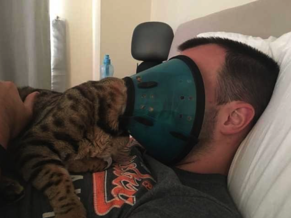 Photo of a cat laying on someone's chest while it wears a face cone (to prevent licking its wounds), except the kitty it pressing its face up against the human.  "My cone? No, this is our cone!"