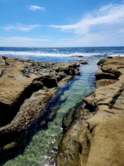 A small inlet between rocks, the sides covered in mussels and barnacles, the tide going out with water glistening in the inlet.