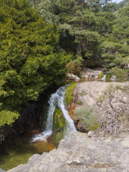 Chorrera del Manzanares. Consecución de dos cascadas una pequeña que desboca en una poza y otra más larga de 3 metros que vuelve a desembocar en otra poza, todo al rededor es roca blanca y gris y también pinos frondosos