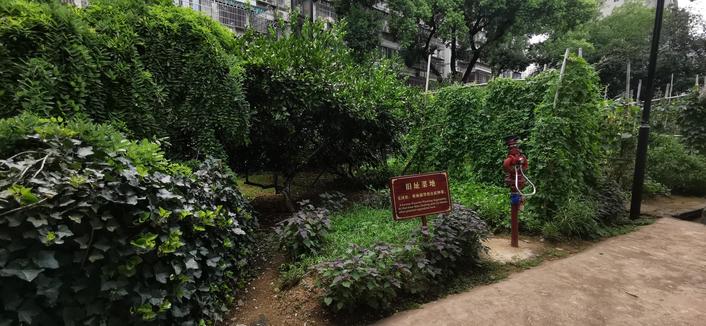 新民学会旧址 菜地