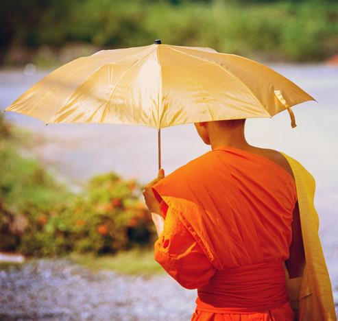 Photo shows a Buddhist monk in orange coloured robe, carrying an umbrella in bright yellow golden fabric. Over the shoulder he has a yellow shoulder bag with a wide strap. The monk is taken in half profile from the left side back. In the background there is some road and green bushes bathed in sun.