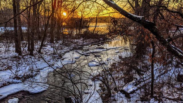 The sun is setting behind the leafless trees of a winter hardwood forest. A dusting of fresh wet snow covers the ground and some of the tree branches. A thick underbrush of leafless shrubs is also coated with snow. A small stream with snow-coated rocks runs through the middle of the forest, emptying into a large mostly frozen lake beyond the trees. The sky near the horizon is tinted gold and lemon yellow by the rays of the setting sun.