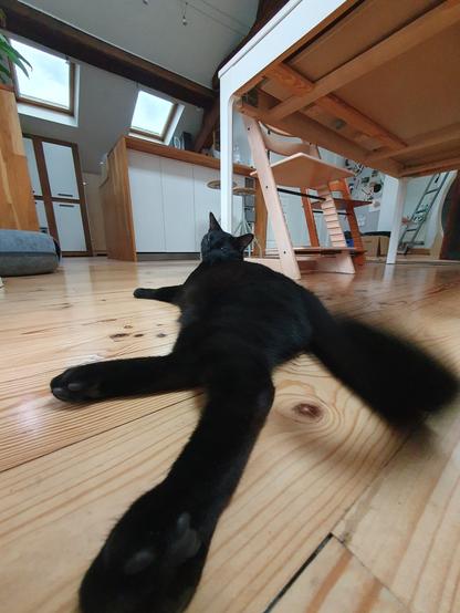 a from the ground wide angle pix of a black cat, from behind,  lying on his side on floorboard, flapping his tail which is blurry. cat's head tilted toward us. a table and some other furniture complete the scene.
ans no, cat's butt not visible