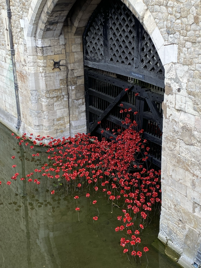 The poppies decorate both sides of the Traitors Gate