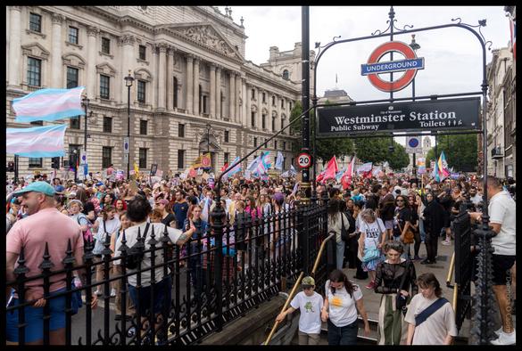 Large crowd gathered for Trans+ Pride event in London with transgender pride flags and protest signs, filling the street around Westminster Underground station entrance with classical government buildings in the background