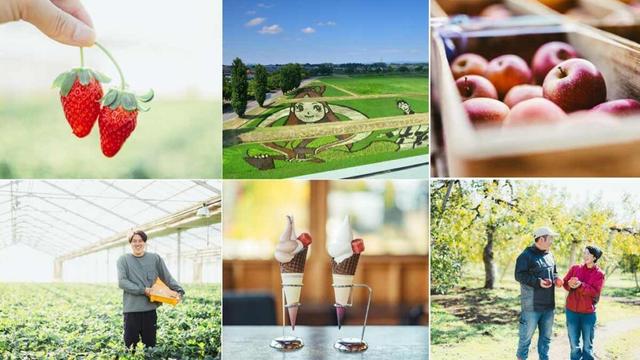 福島県・郡山のとなり町へよりみち。イチゴやリンゴ、フルーツを巡る鏡石さんぽ - OZmall