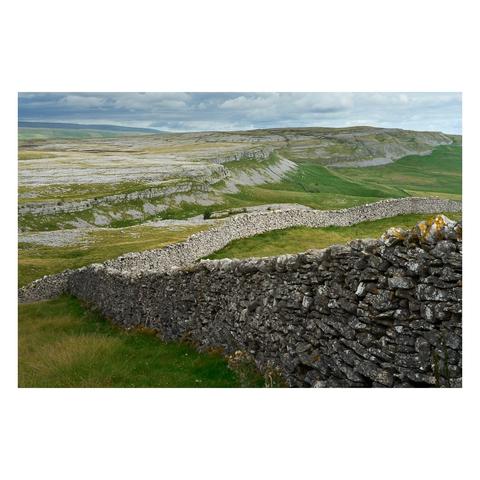 A picturesque view of Crummackdale in the Yorkshire Dales, focusing on the rugged limestone landscape known as Moughton Scar in the distance. The foreground is dominated by a traditional dry stone wall that zigzags across the green grassy hillside, leading the eye deeper into the scene. Beyond the wall, the scar itself rises with its characteristic pale limestone rock formations, patches of grass, and gentle slopes. The sky above is mostly cloudy with soft, diffused light illuminating the landscape, creating a serene and timeless rural atmosphere typical of this historic upland area in northern England.