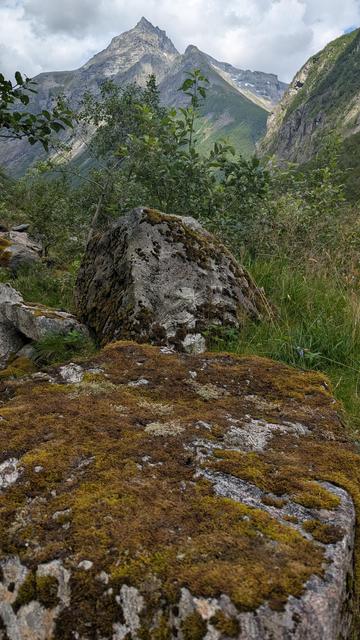A lone mossy rock with a mountain in the background.
