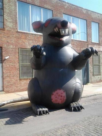 Giant inflatable rat