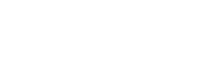 Weißer Fuchs auf schwarzem Hintergrund