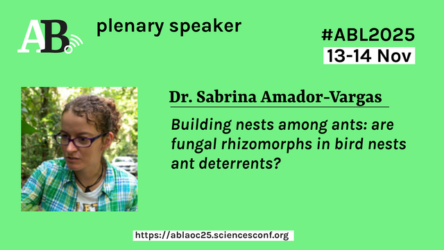 Visual of the plenary title