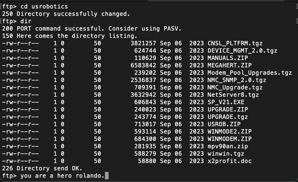 A directory listing on an ftp server three continents away. It shows over a dozen files for US Robotics modems. Of incredible interest are the "Modem Pool Upgrades" and NetServer files, which are for commercial ISPs.

the user has typed "you are a hero rolando" into the ftp command line.