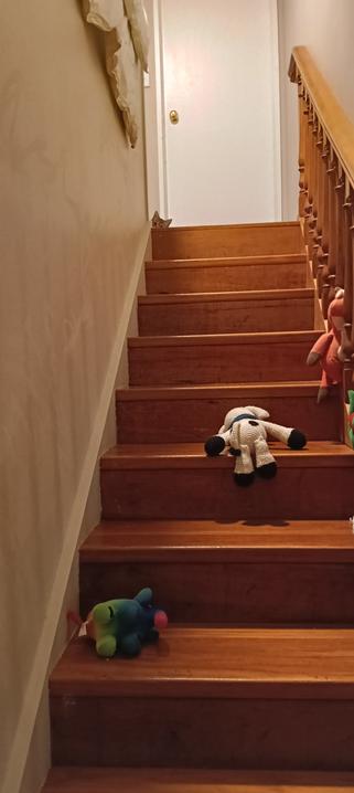 a rainbow elephant plush and a cow plush on wooden stairs. at the top of the stairs, barely visible, is the head of a tabby kitten