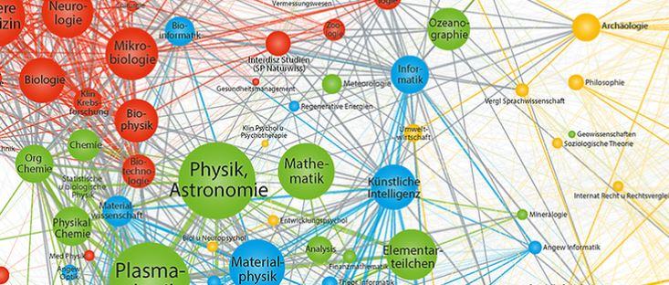 Grafische Darstellung der Fächerverteilung der Exzellenzclustern