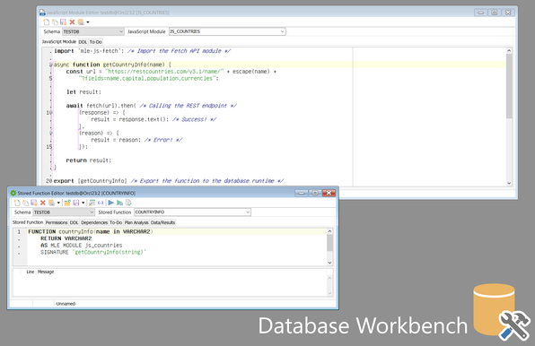 Screenshot of new Oracle JavaScript Module Editor in Database Workbench