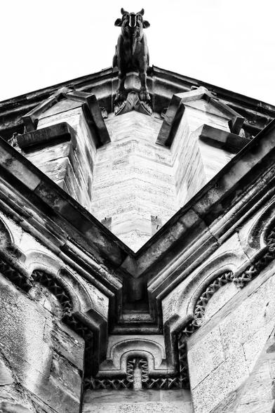 A dramatic low-angle, black and white shot of a stone gargoyle perched atop a gothic building. The gargoyle, resembling a horned beast with an open mouth, stares directly downwards. The intricate stonework of the building's facade, including detailed carvings and architectural lines, converges towards the gargoyle, creating a strong sense of perspective and height against a bright, featureless sky. The textures of the aged stone are highly visible.