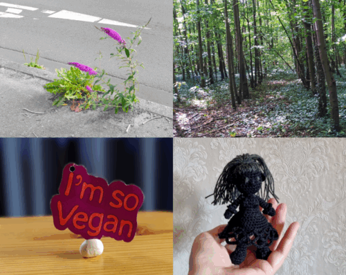 Viergeteiltes Photo für Projekt52 Juli 25: Oben links Sommerflieder, der aus einer Ritze im Bordstein wächst, oben rechts Bäume, die in gerader Reihe wachsen. Unten links ein buntes Etikett und unten rechts eine aus schwarzer Wolle gehäkelte Figur.