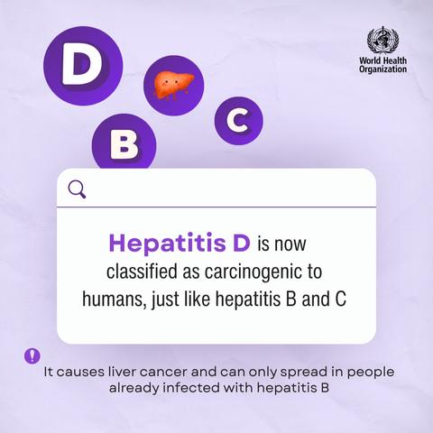 A text box reads: “Hepatitis D is now classified as carcinogenic to humans, just like hepatitis B and C.” Below, a note says: “It causes liver cancer and can only spread in people already infected with hepatitis B.”